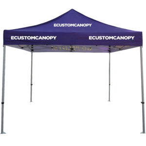 10x15 eCustomCanopy